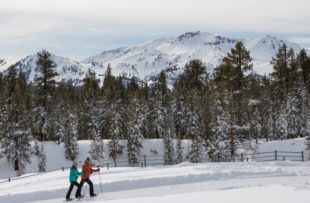 snowshoeing-inyo-craters-2
